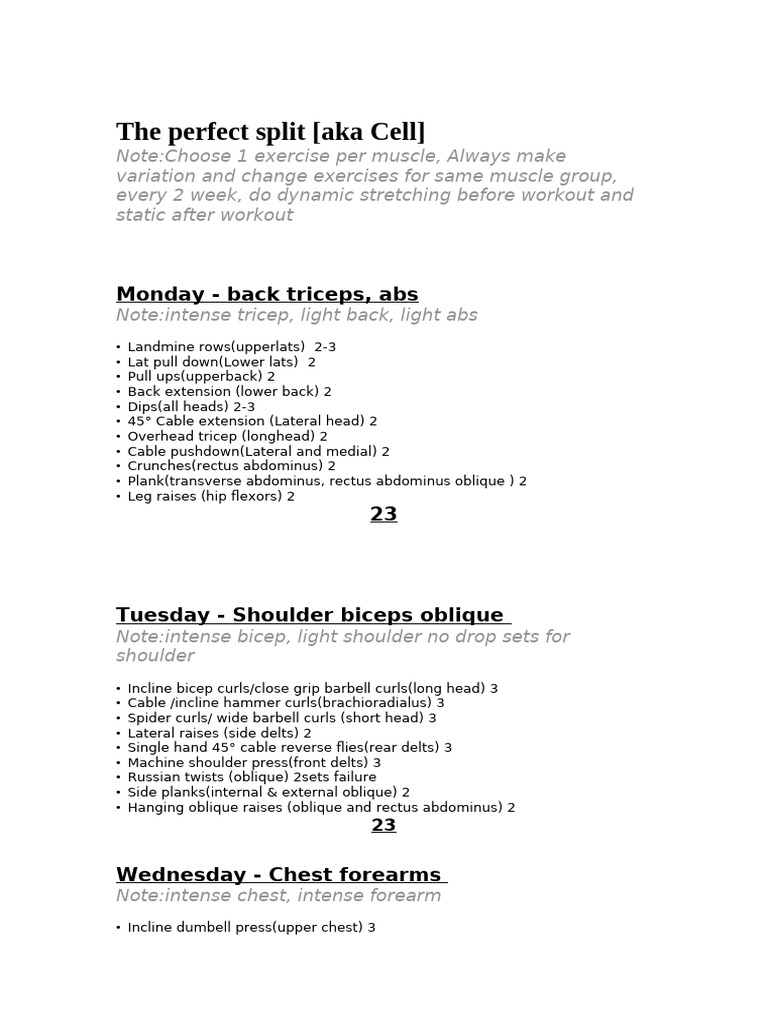 Weekly Workout Plan for Muscle Groups | PDF | Anatomical Terms Of ...