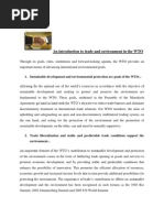 An Introduction to Trade and Environment in the WTO