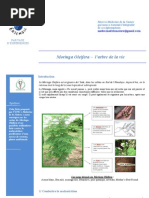 Download Fiche Technique Moringa by Antoine Koudaya SN90326301 doc pdf