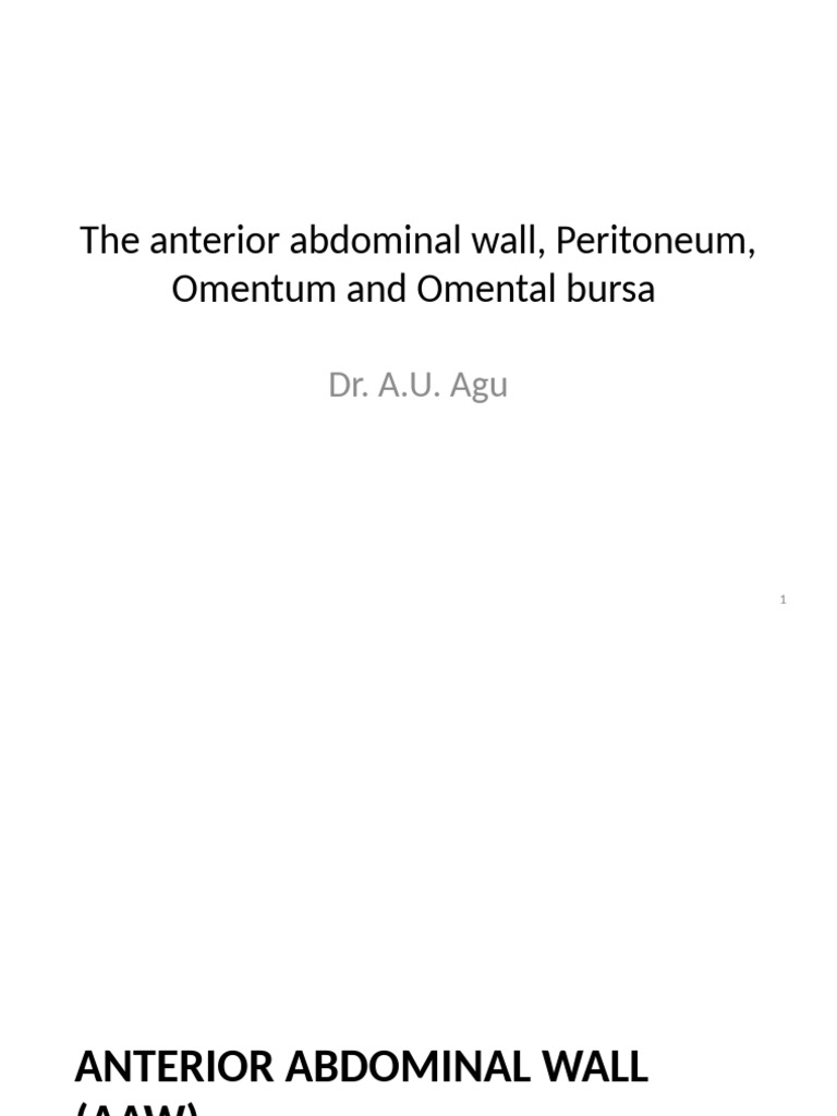Anterior Abdominal Wall | PDF | Peritoneum | Abdomen