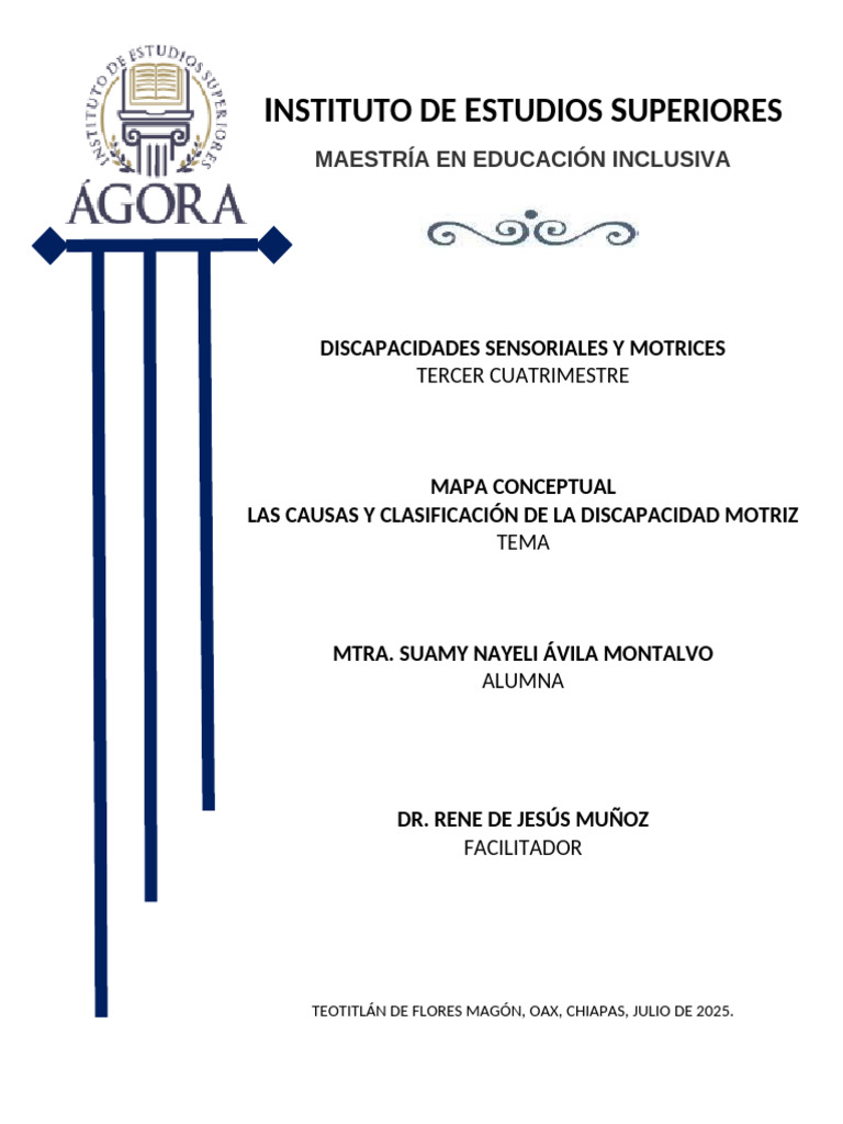 Causas y Clasificación de Discapacidad Motriz | PDF | Cerebro | Invalidez