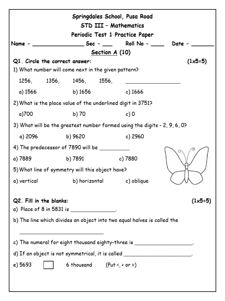 STD III Math Practice Test Paper | PDF | Mathematics