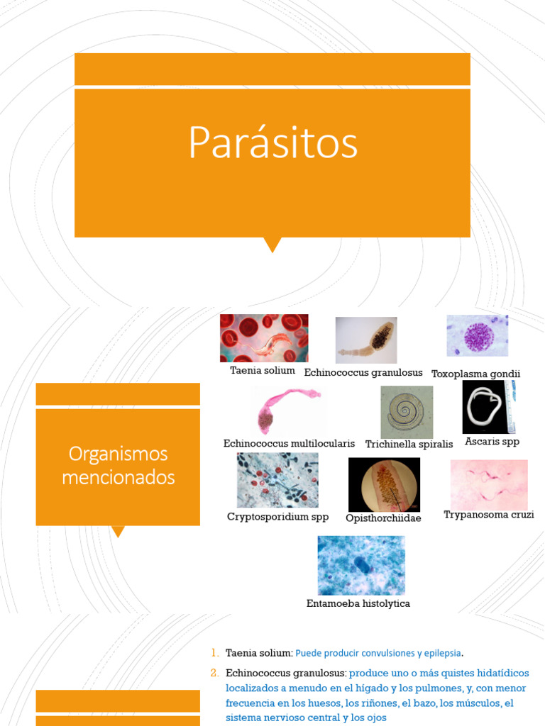 Parásitos y Enfermedades: Prevención y Síntomas | PDF | Diarrea ...