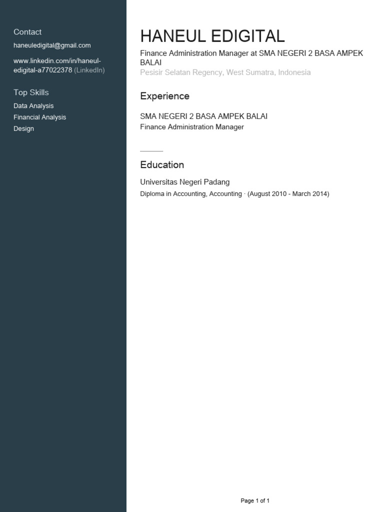Finance Manager Profile: Haneul Edigital | PDF