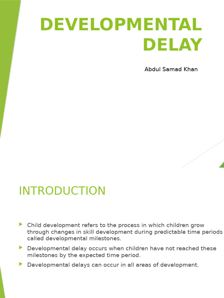 Understanding Developmental Delay | PDF | Child Development ...