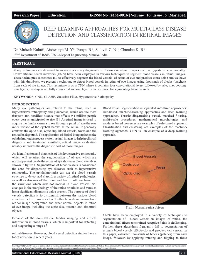 Deep Learning Approaches For Multi-Class Disease Detection and ...