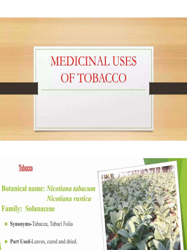 Medicinal use of Tobacco | PDF