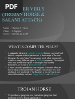 Computer Virus (Trojan Horse & Salami Attack)