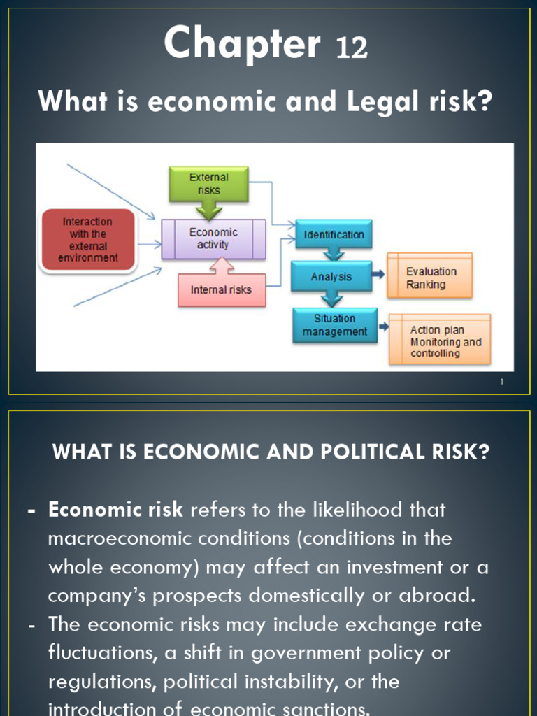 Economic vs Political Risk Explained | PDF | Risk | Credit Risk