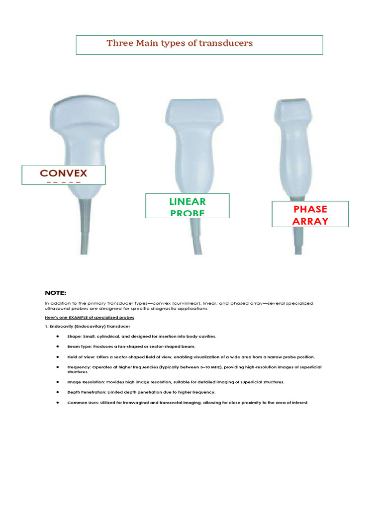 Curvilinear vs Linear Ultrasound Probes | PDF | Field Of View