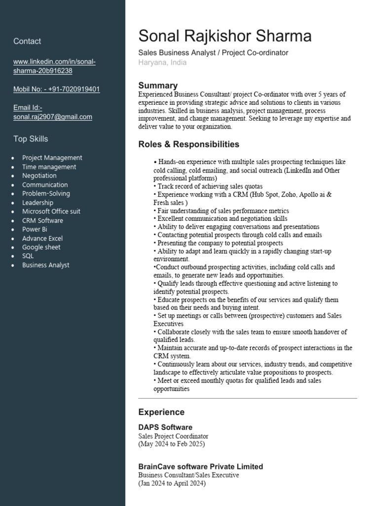 Sales Business Analyst Profile Summary | PDF | Sales | Customer ...