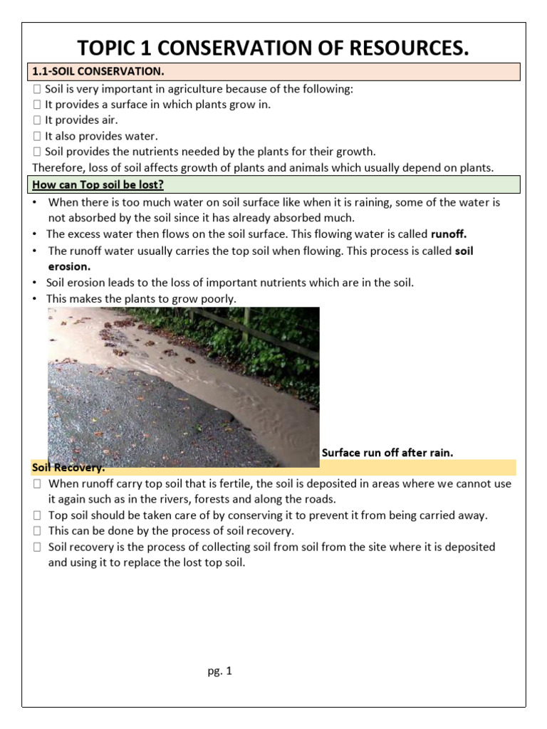 Grade 5 Agriculture Resource Notes | PDF | Mulch | Vegetables