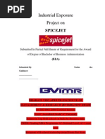 Download SpiceJet IE Corrections by sheetalrahuldewan SN90339878 doc pdf