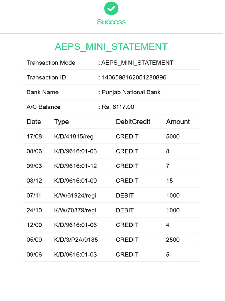 Mini Statement | PDF