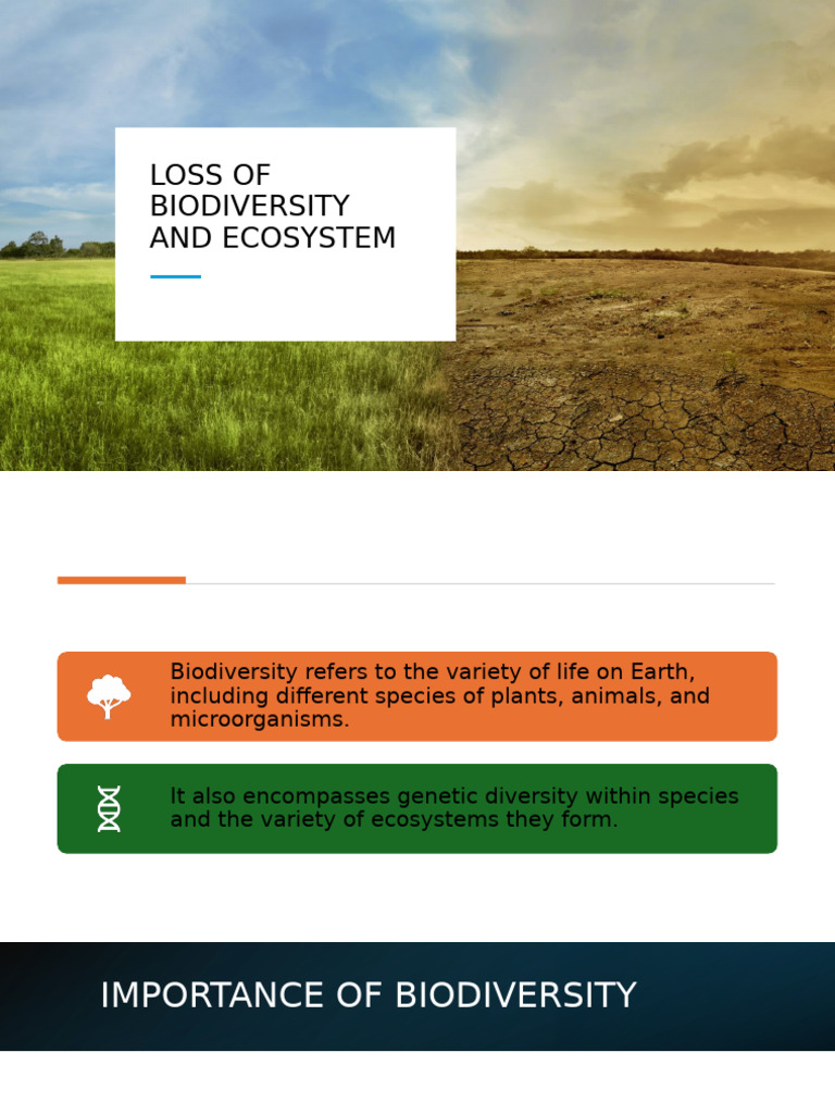 Causes and Impact of Biodiversity Loss | PDF | Biodiversity | Habitat ...