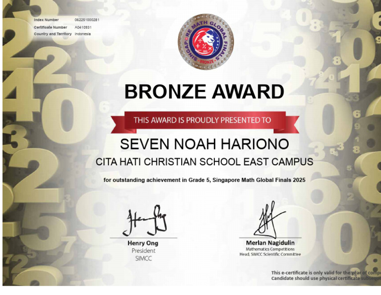 SMGF 2025 Bronze Award Certificate | PDF