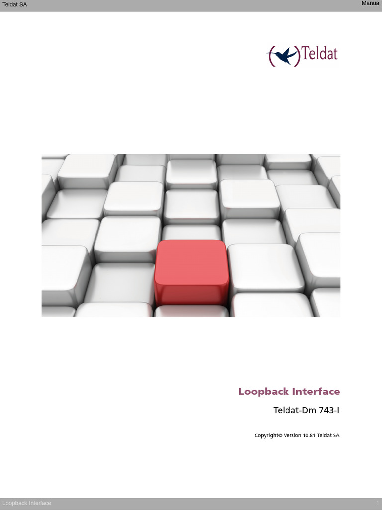 Teldat Loopback Interface Manual | PDF | Ip Address | I Pv6