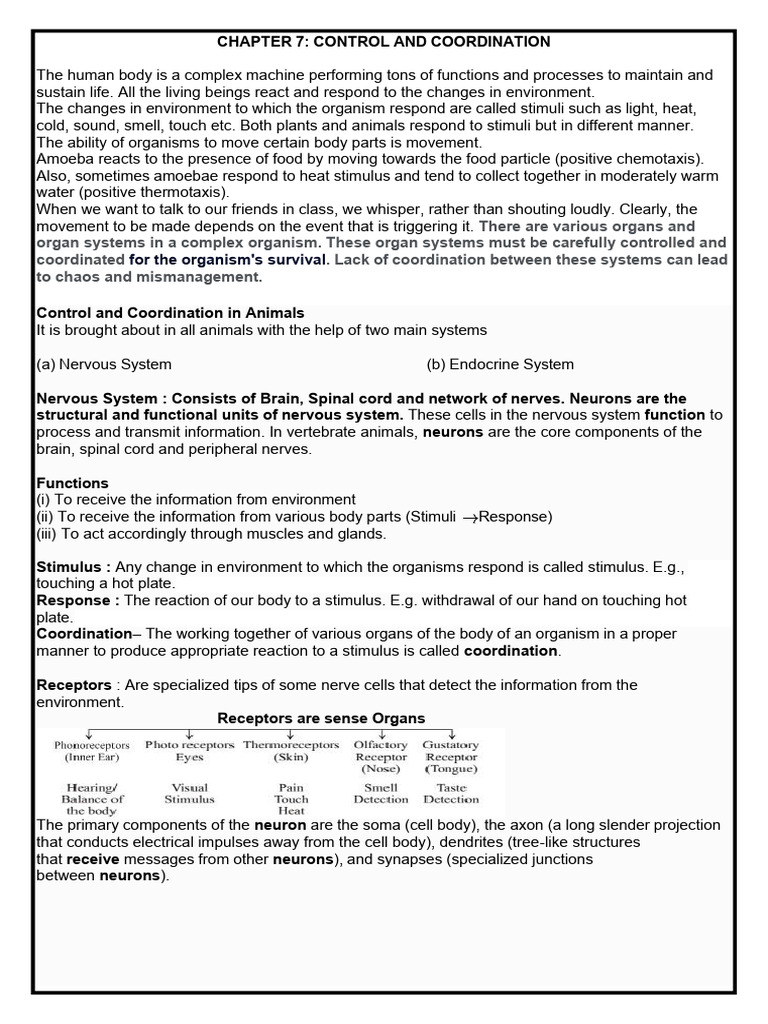 Control and Coordination in Organisms | PDF | Plant Hormone | Central ...