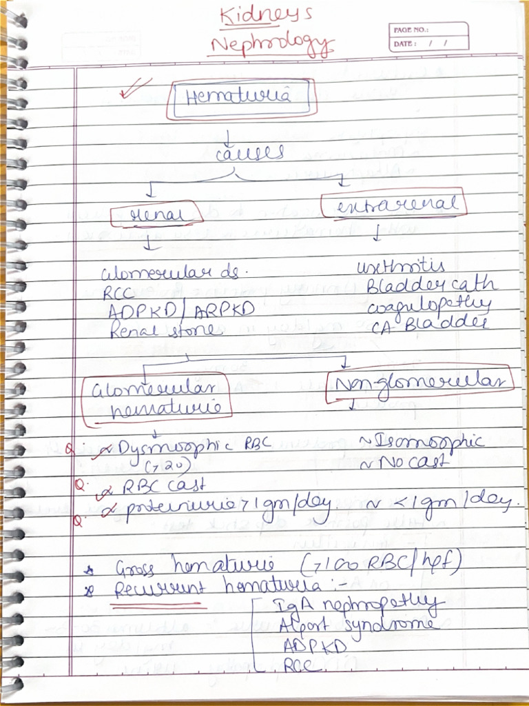 Nephrology 1 | PDF