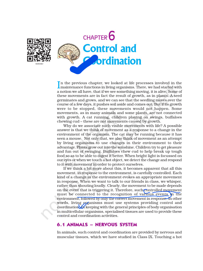 Control and Coordination in Animals | PDF | Hormone | Nervous System