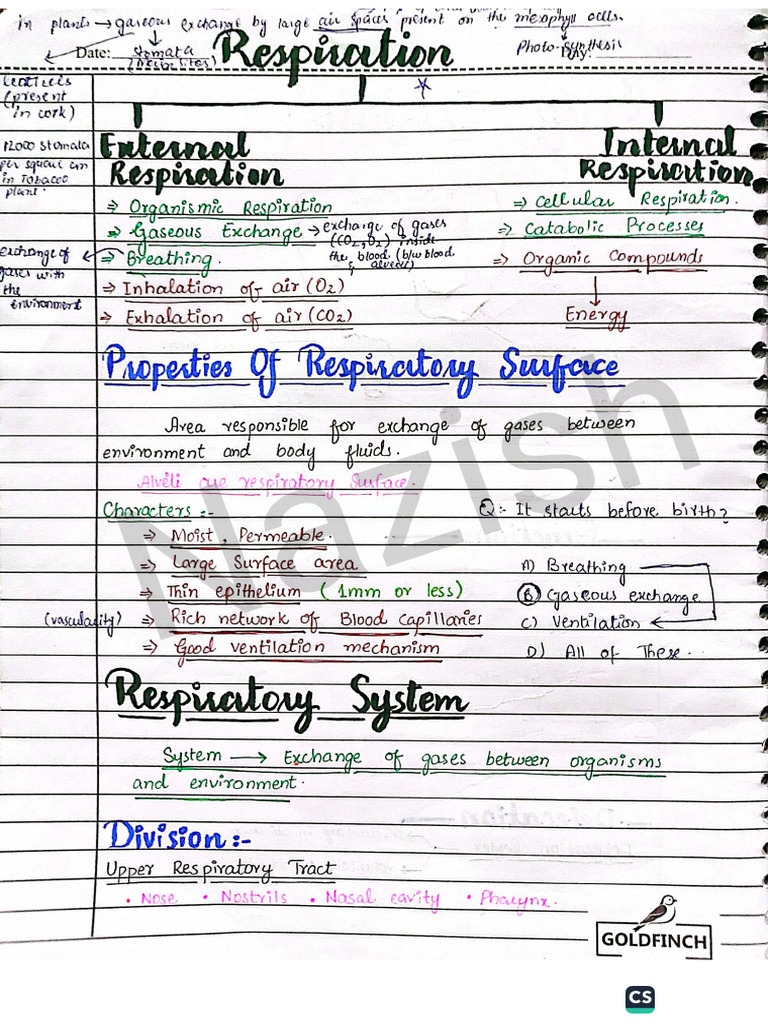 Respiration Notes Handwritten | PDF