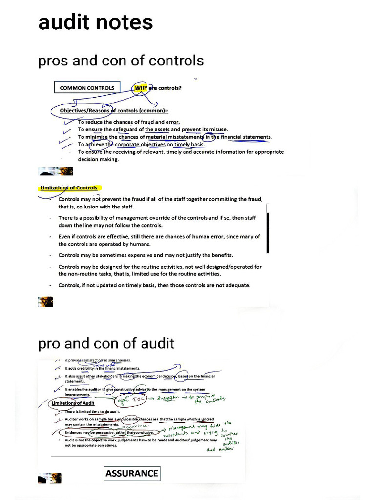 Audit Imp Notes | PDF
