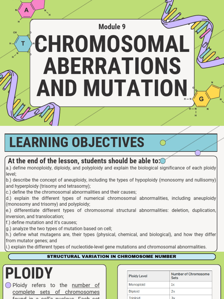 Chromosomal Aberrations Overview | PDF | Ploidy | Mutation