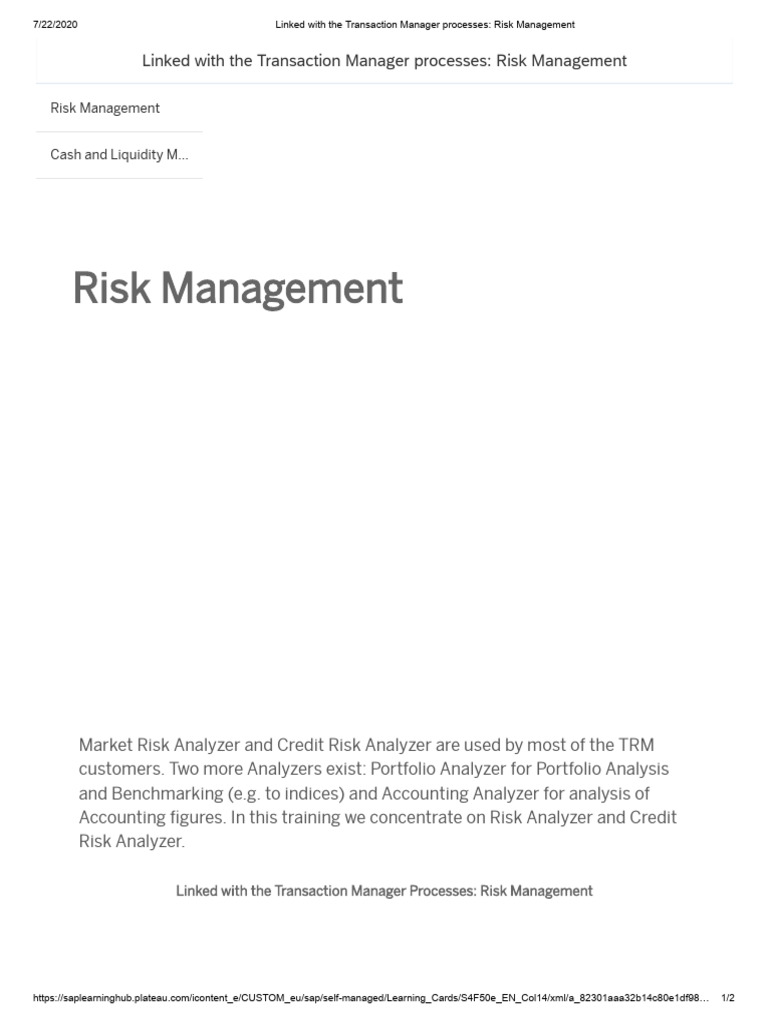 Transaction Risk Management Overview | PDF