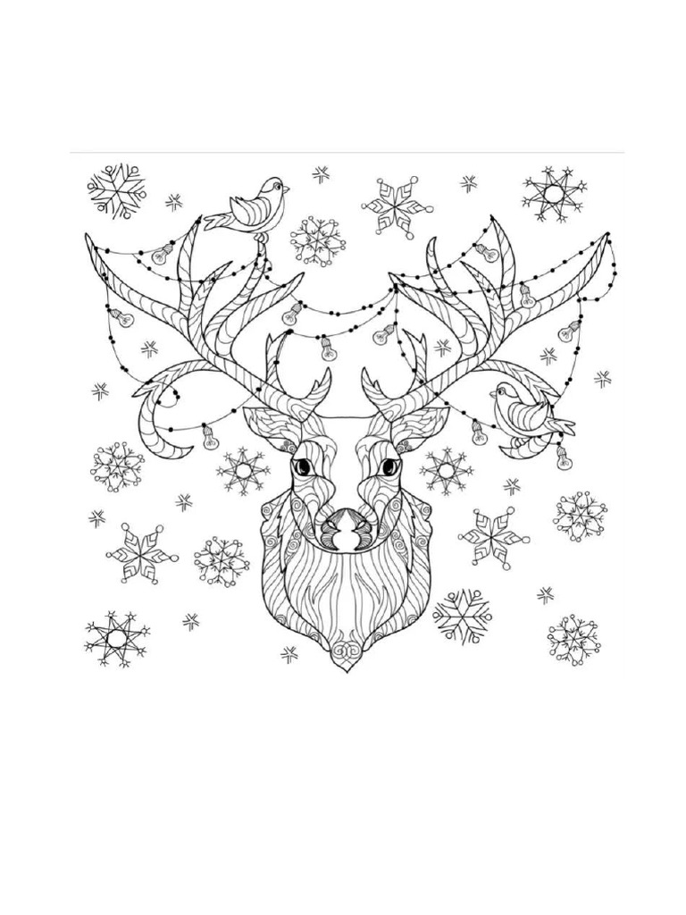 Drawing | PDF