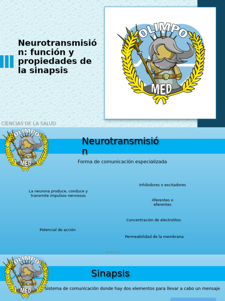 Neurotransmisión, Función y Propiedades de La Sinapsis | PDF | Sinapsis ...