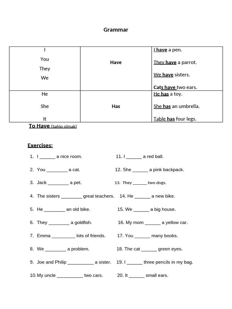 Understanding "Have" in English Grammar | PDF