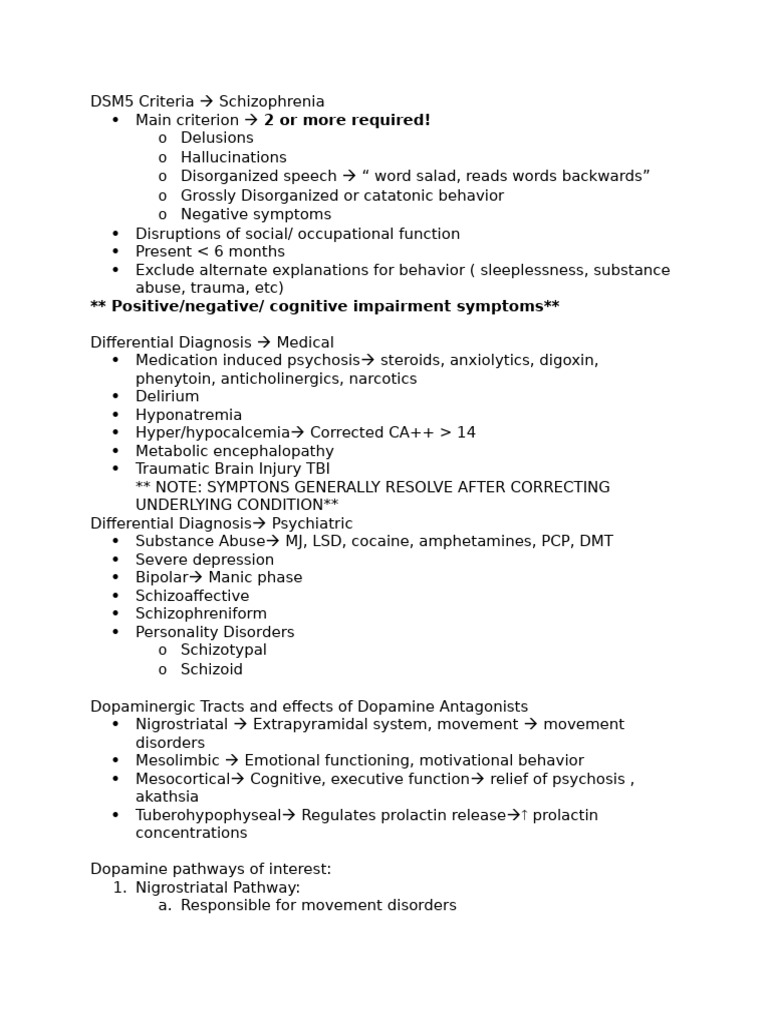 Schizo Notes | PDF