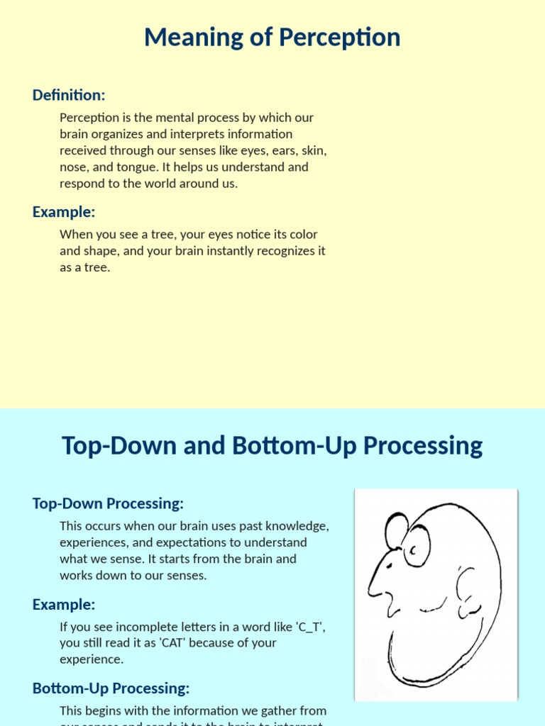 Perception Final Presentation | PDF