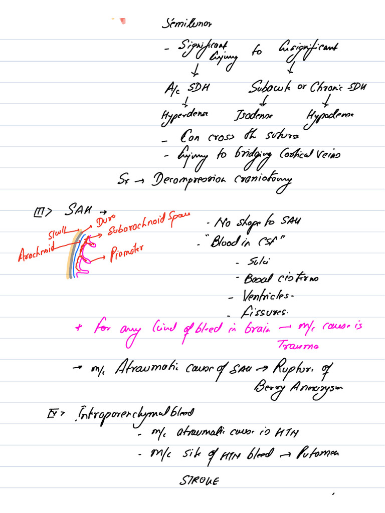 Note 5 Oct 2024 3 | PDF