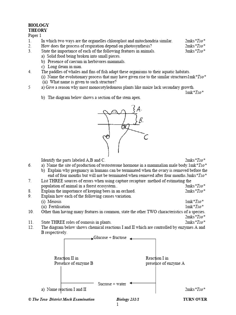 Teso District Biology Mock Exam 231/1 | PDF | Kidney | Blood