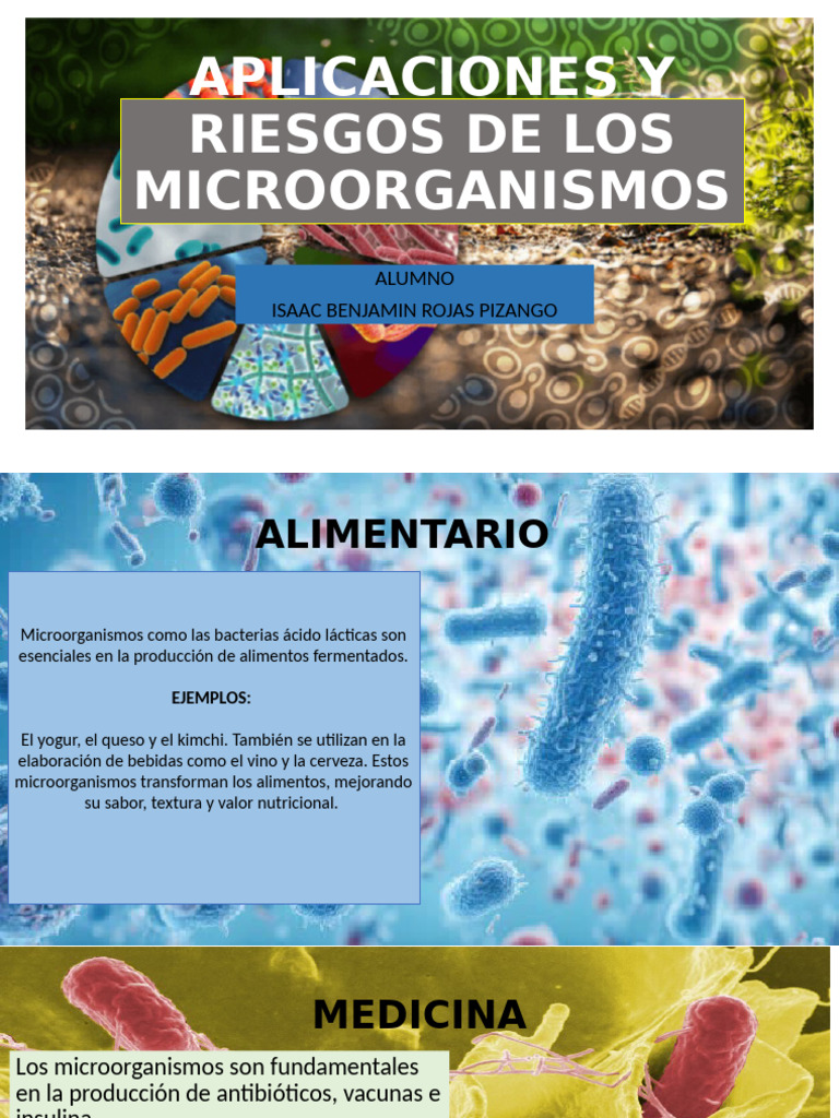 Aplicaciones y Riesgos de Los Microorganismos | PDF | Alimentos | Las ...
