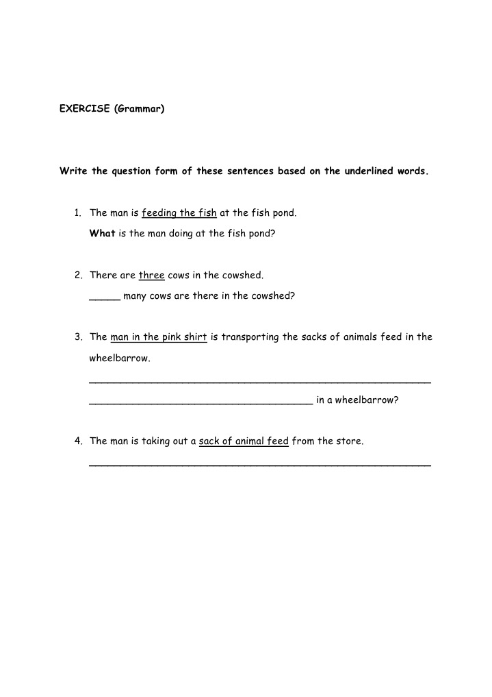 Question Forms in Grammar Exercises | PDF