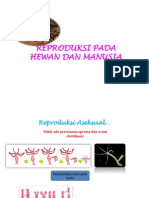 Reproduksi Pada Hewan Dan Manusia