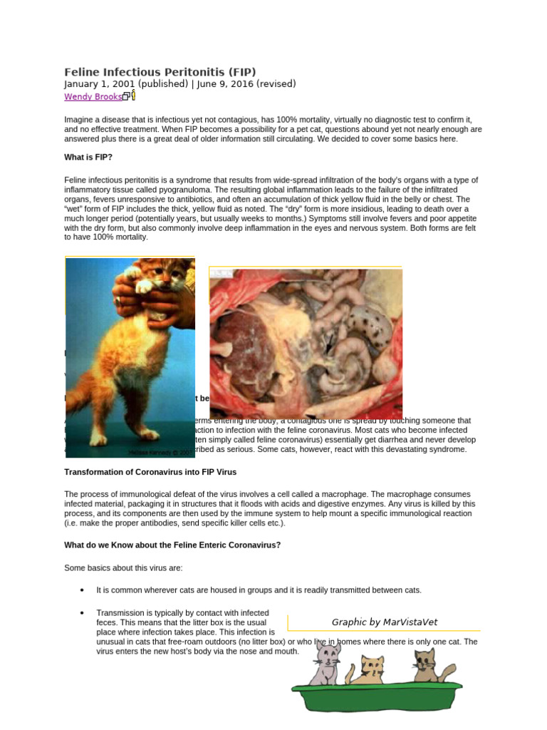 Fip - Information Handout | PDF | Virus | Infection