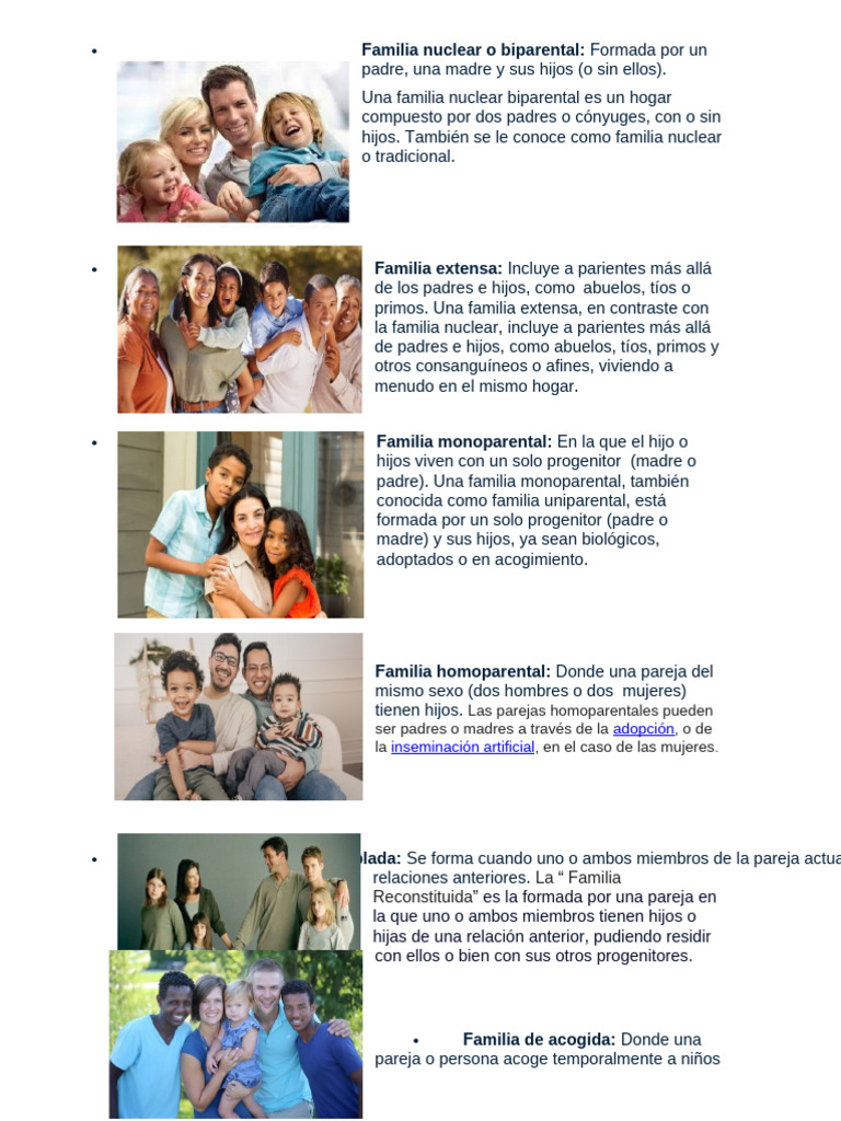 Tipos de Familias y sus Características | PDF