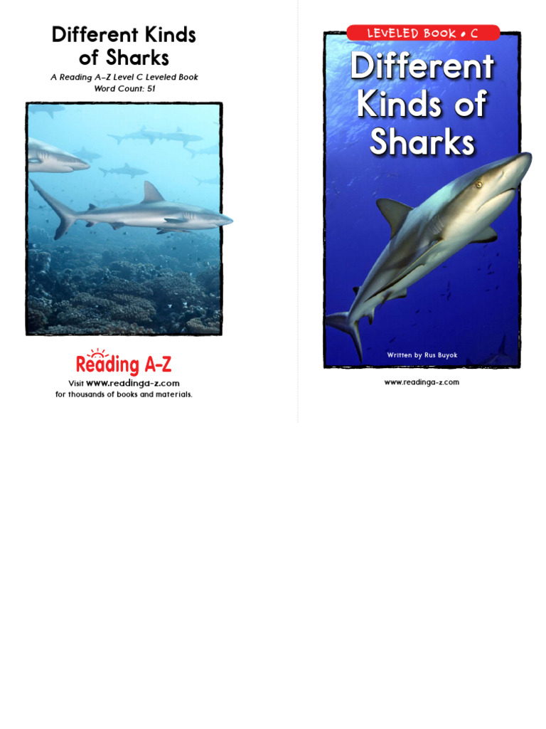 Different Kinds of Sharks | PDF | Sharks | Fish