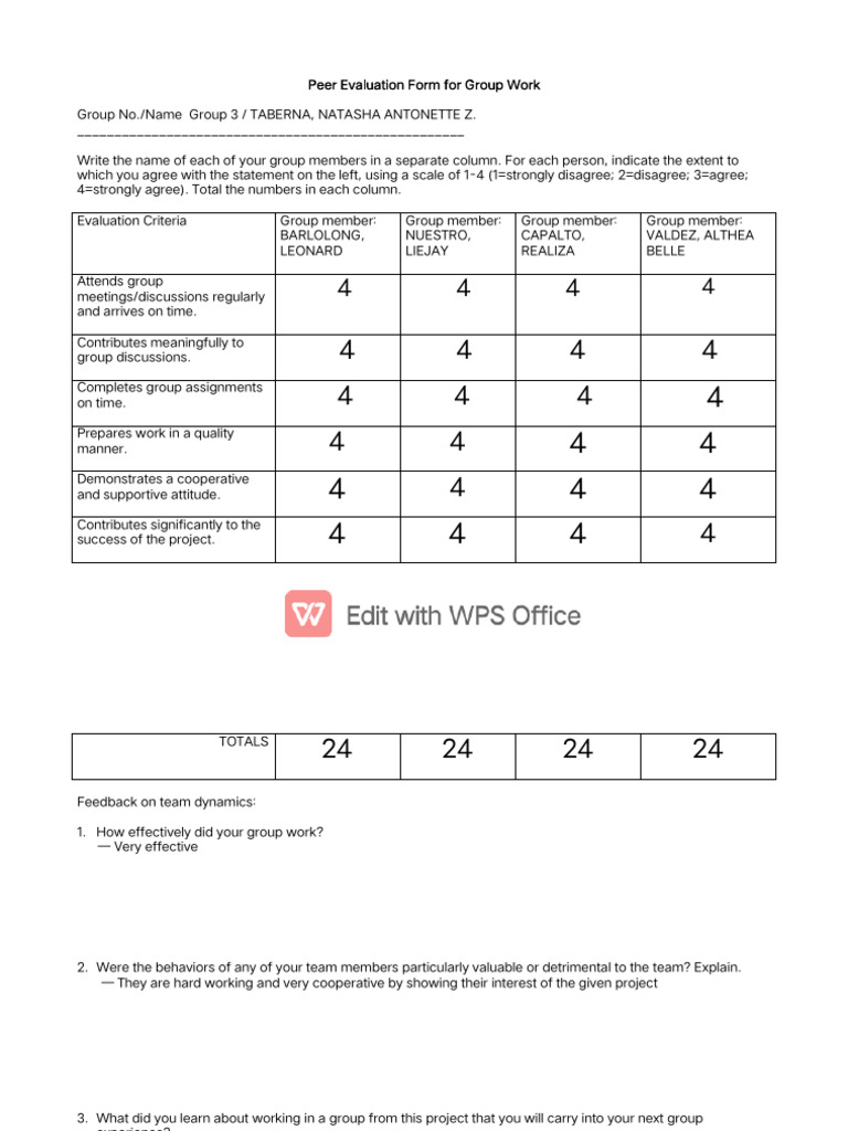Group Work Peer Evaluation Form | PDF
