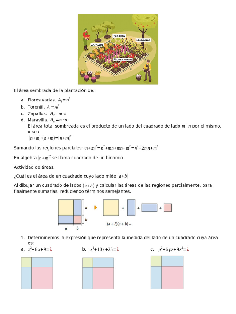 Clase Completa para Trabajo Con Material Concreto 7 de Julio | PDF ...