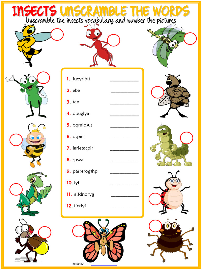 Unscramble Insect Vocabulary Activity | PDF