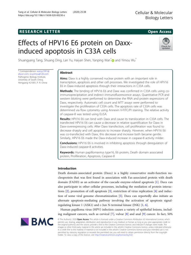 HPV16 E6 Protein's Impact on Daxx Apoptosis | PDF | Apoptosis ...
