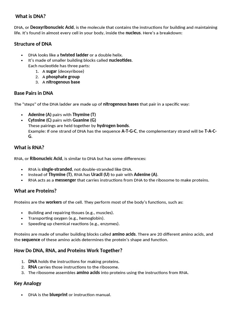 Chapter 2 - Protein Synthesis | PDF | Translation (Biology) | Rna