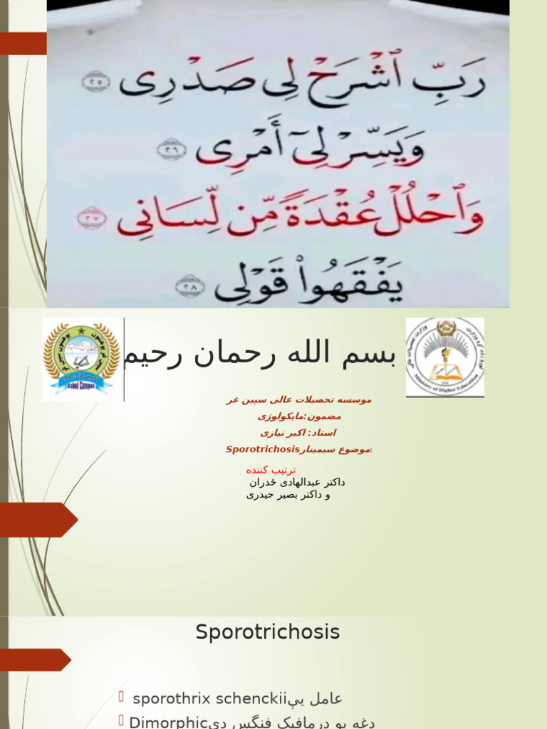 Baseer Haidari | PDF