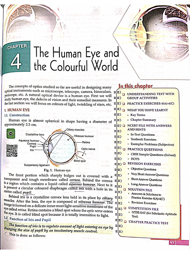 Human Eye and Colourful World | PDF