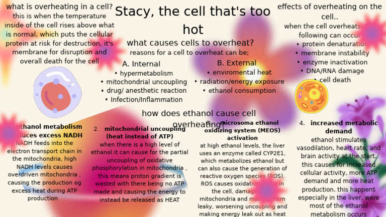Stacey, The Cell That's Too Hot | PDF | Mitochondrion | Adenosine ...