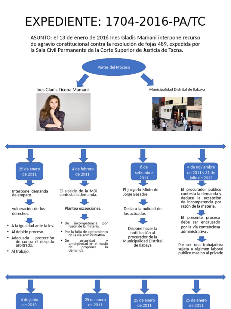 Recurso de Agravio Constitucional 2016 | PDF | Gobierno | Justicia
